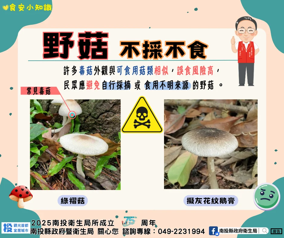 野生菇類勿亂採亂吃 縣府衛生局籲民眾留意食安風險 野生菇類勿亂採亂吃 縣府衛生局籲民眾留意食安風險