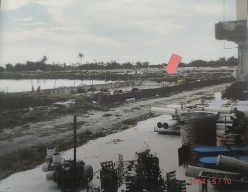 代夫欠稅未繳,陳女名下魚塭拍賣清償稅款 代夫欠稅未繳,陳女名下魚塭拍賣清償稅款