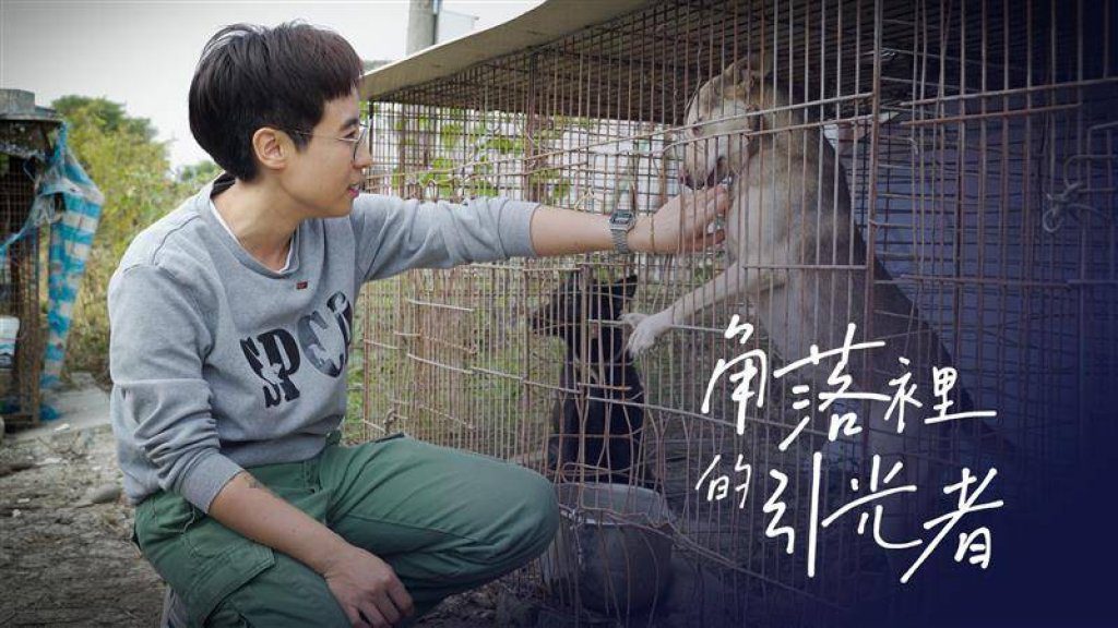 從節目到技術通通有獎! 中嘉三冠王‧雙子星金視獎入圍6項創新紀錄 從節目到技術通通有獎! 中嘉三冠王‧雙子星金視獎入圍6項創新紀錄