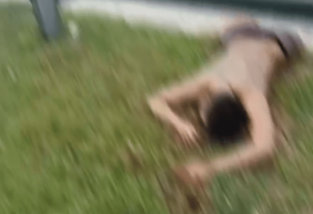 影/22歲台男退伍後到大馬找好友!疑被強迫吸毒喪命 暴斃前脫序行為影片瘋傳 影/22歲台男退伍後到大馬找好友!疑被強迫吸毒喪命 暴斃前脫序行為影片瘋傳