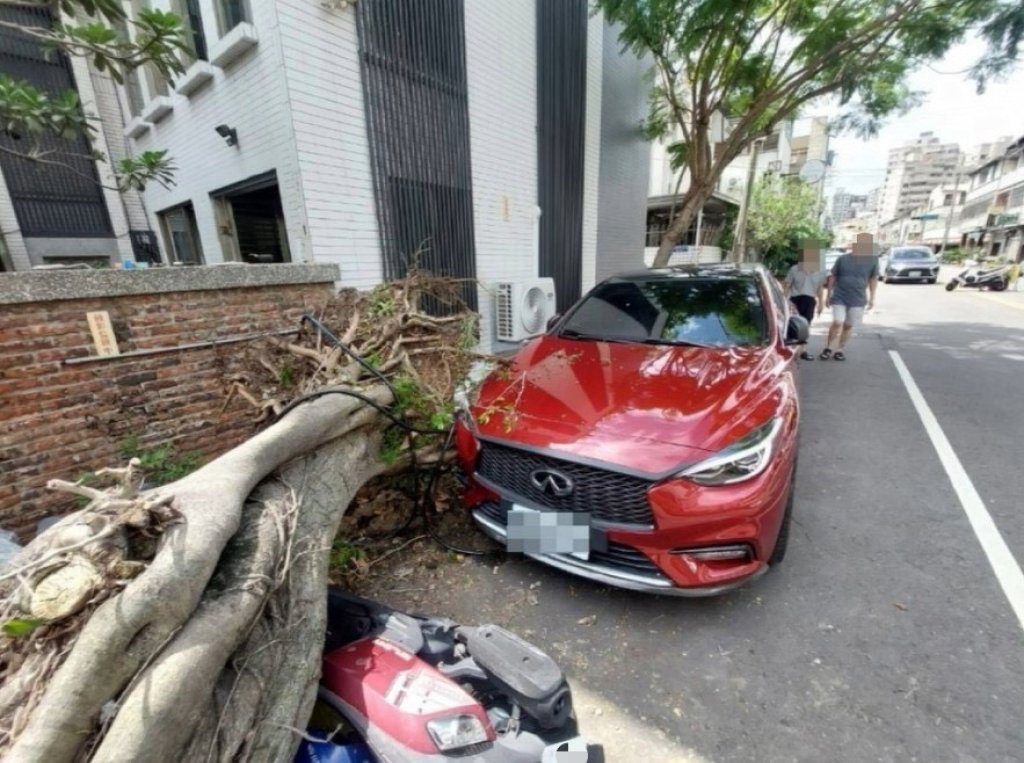 砰!台中北屯區路樹猛然倒塌 3汽機車慘遭波及 砰!台中北屯區路樹猛然倒塌 3汽機車慘遭波及
