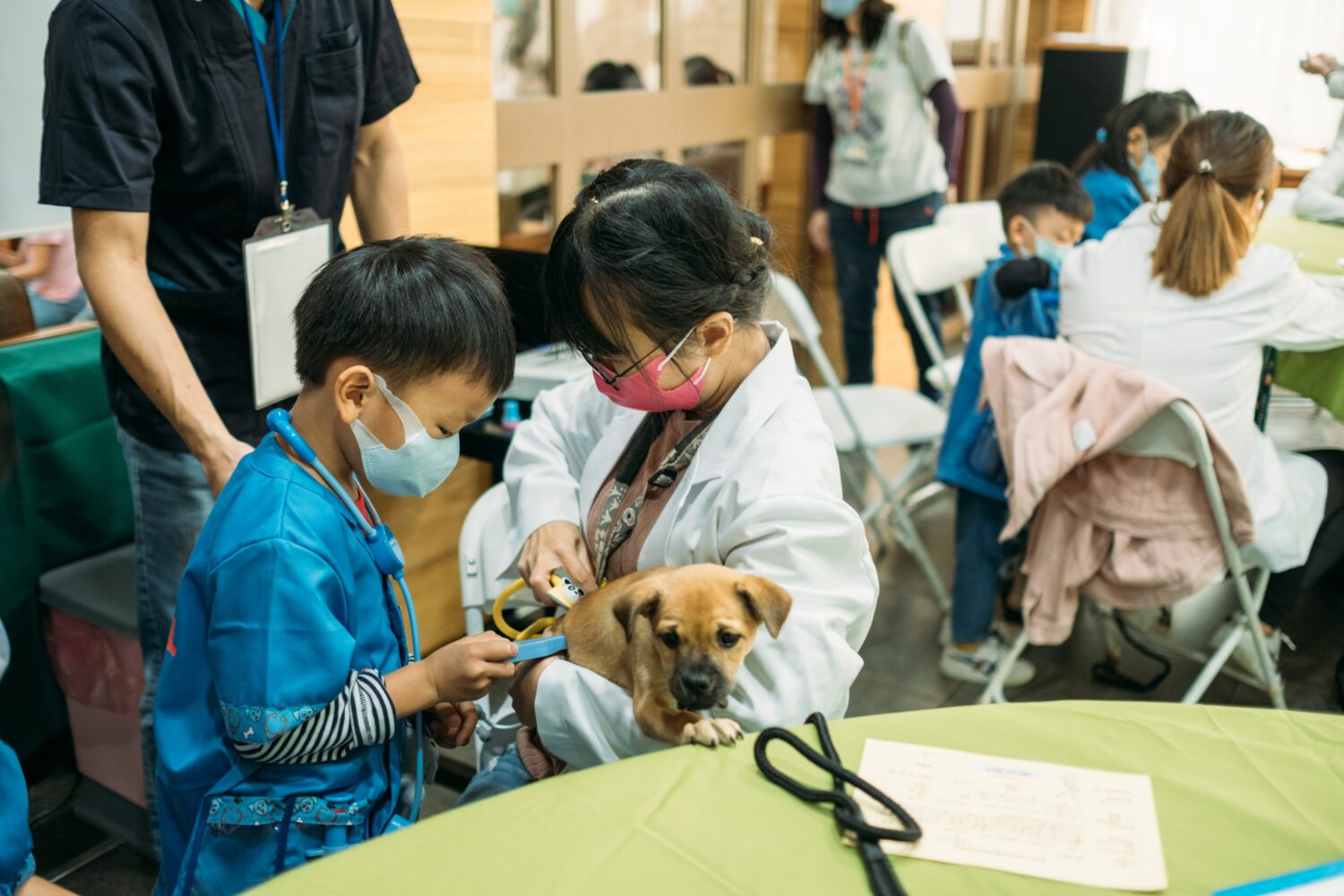 強化飼主急救力　為毛孩搶下黃金救命時間 高市動保處舉辦寵物CPR講座