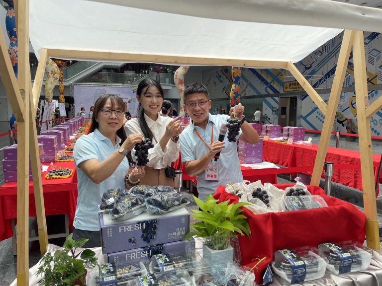 台中葡萄永續果品評鑑總獎金32萬元 第一階段評鑑結果揭曉 台中葡萄永續果品評鑑總獎金32萬元 第一階段評鑑結果揭曉