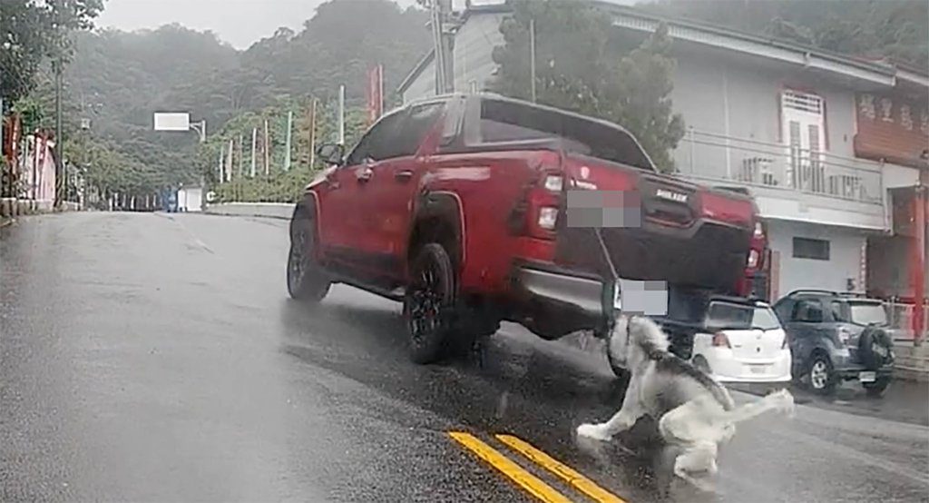 埔里驚見哈士奇狗遭拖行 網怒「這種人到底有什麼資格養寵物!」 埔里驚見哈士奇狗遭拖行 網怒「這種人到底有什麼資格養寵物!」