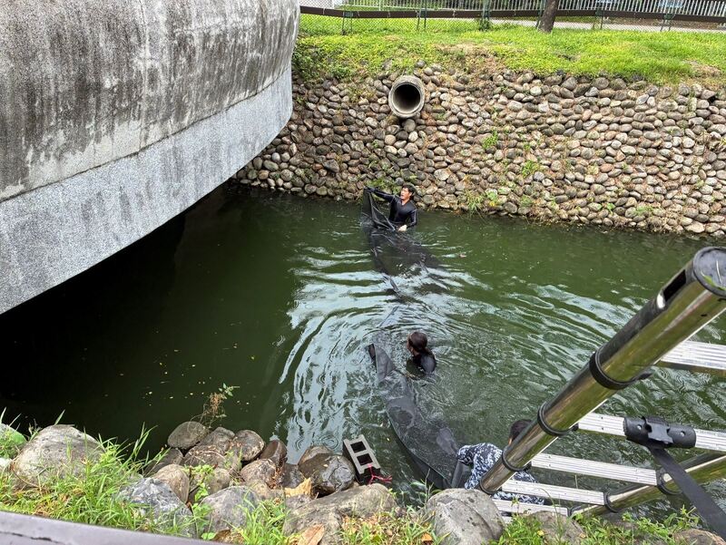 屏東公園「鴨霸」亂象!縣府出動「趕鴨大隊」整頓 開放認養萌禽 屏東公園「鴨霸」亂象!縣府出動「趕鴨大隊」整頓 開放認養萌禽