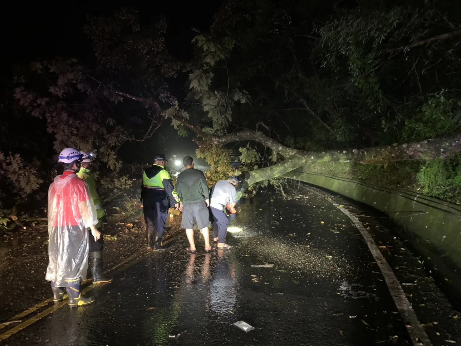 路樹橫倒阻斷道路 三星警熱心協助清除 路樹橫倒阻斷道路 三星警熱心協助清除