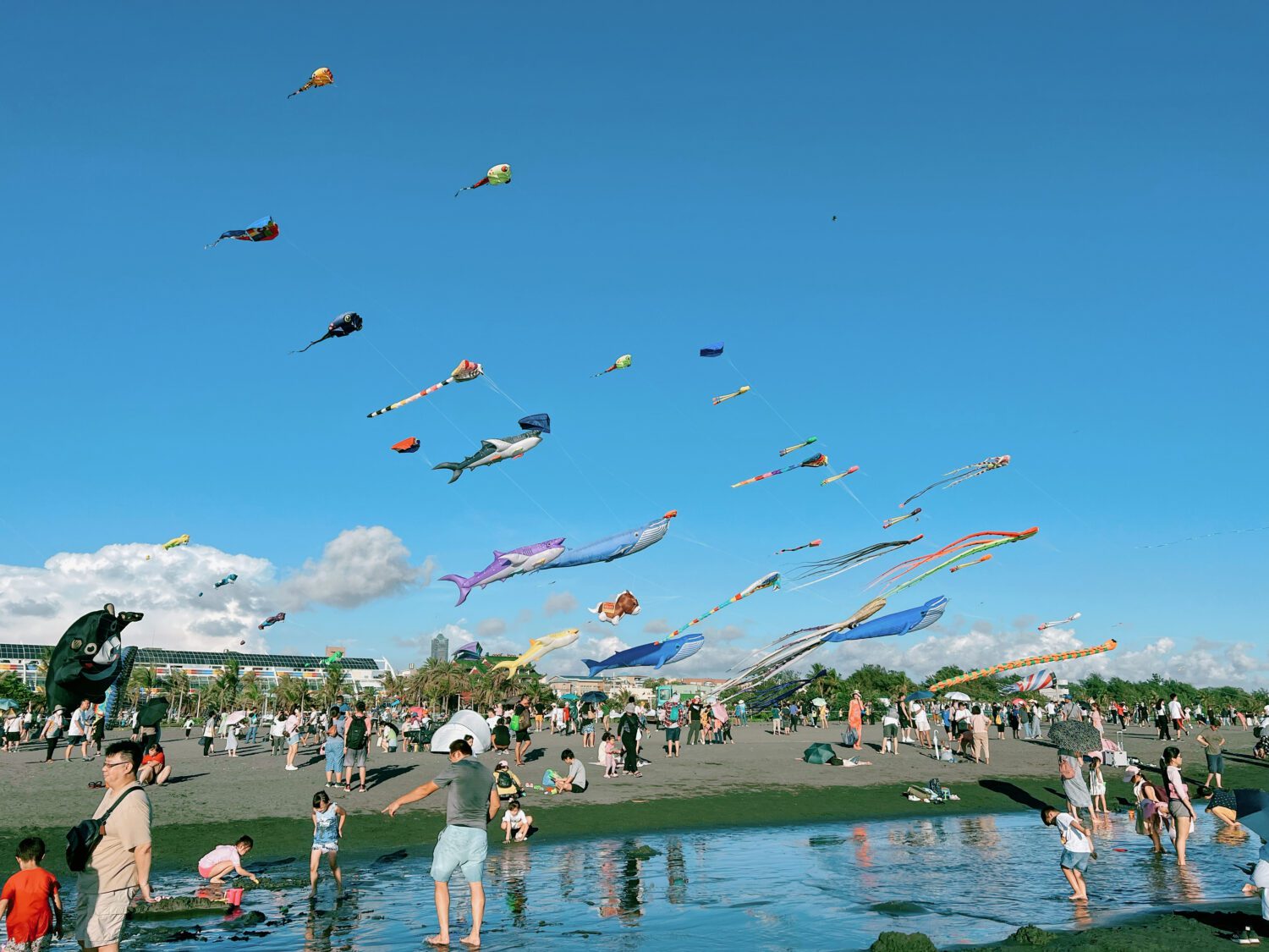 FUN暑假!2025旗津風箏節連嗨兩週末 觀光局邀您海灘派對共度盛夏 FUN暑假!2025旗津風箏節連嗨兩週末 觀光局邀您海灘派對共度盛夏