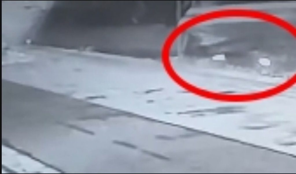 高雄港驚魂夜!轎車闖港區衝海 消失水中僅見狗游出 高雄港驚魂夜!轎車闖港區衝海 消失水中僅見狗游出