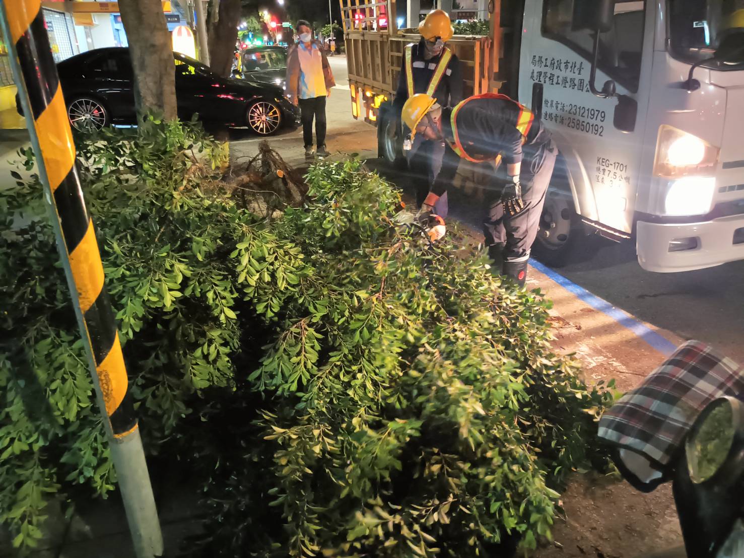 有牌的樹木修容師　專業剪刀手晴雨出任務