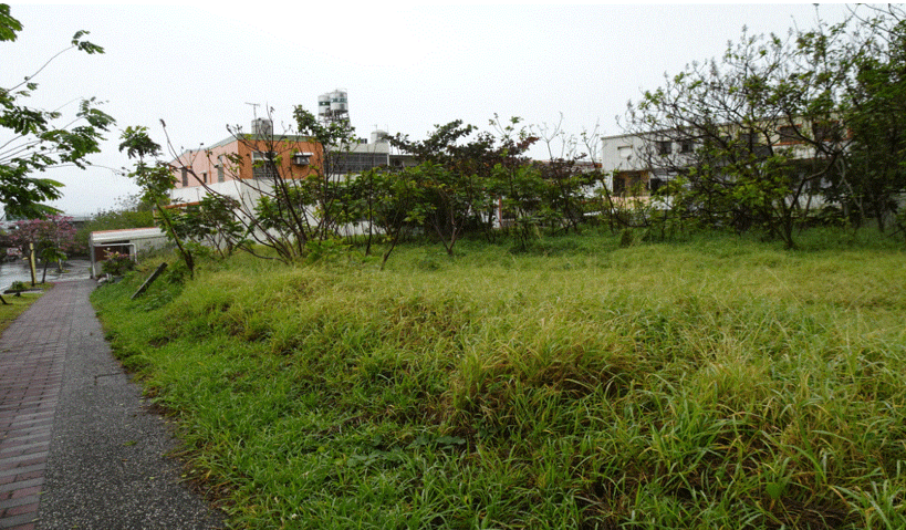 907坪日昇大道美地釋出　8/5全國拍賣會登場