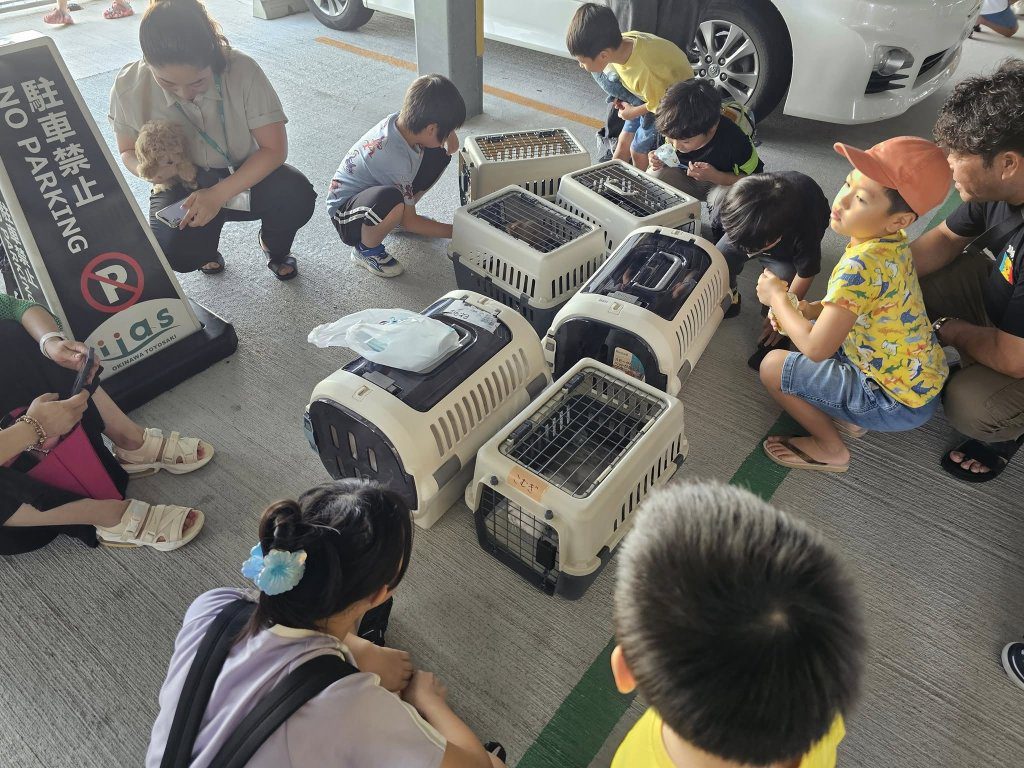 遊沖繩水族館海嘯警報突響 人、動物急被疏散到5樓停車場