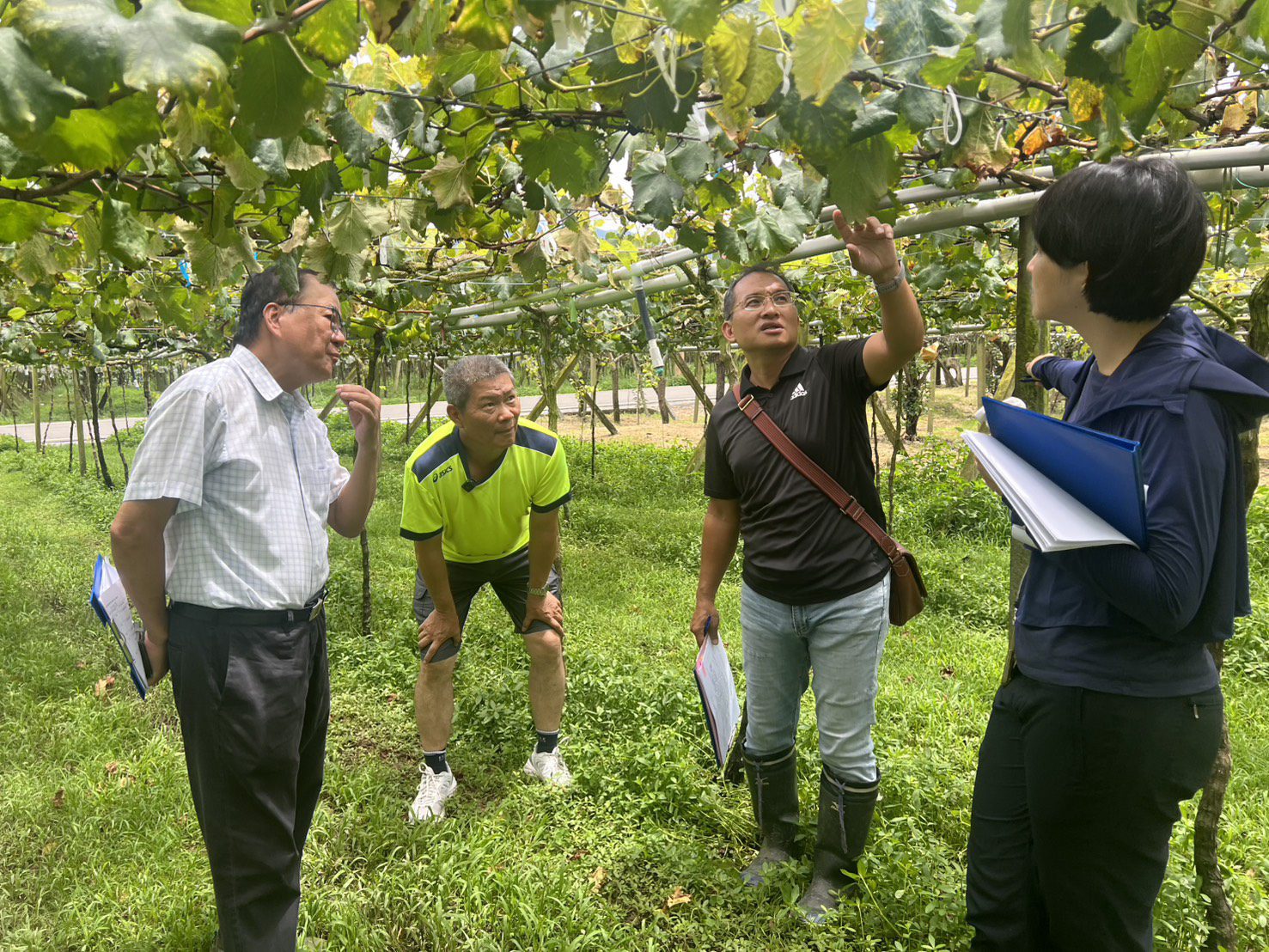 台中市優質葡萄永續領鮮市級評鑑結果揭曉　農友王坤達勇奪五星獎殊榮
