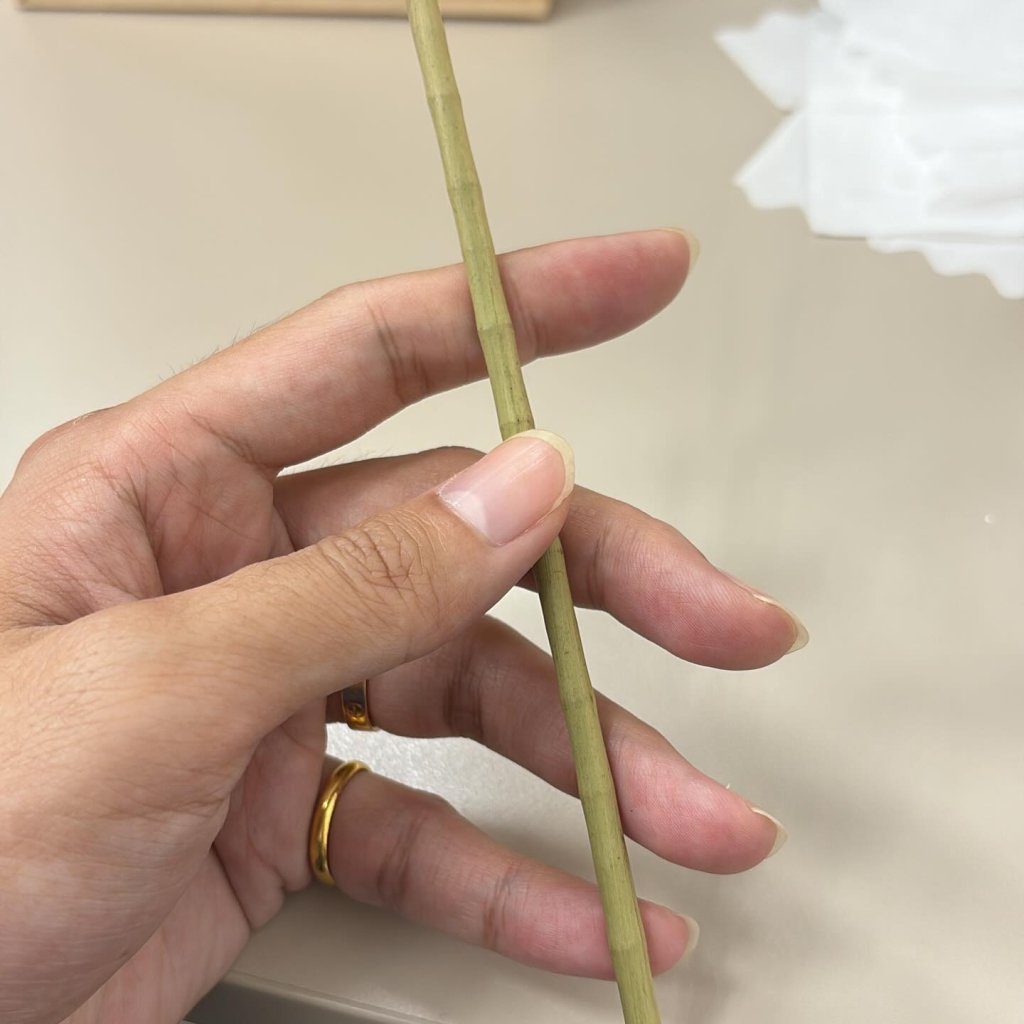 摩斯減塑出奇招　天然蒲草吸管引爆「竹香紅茶」熱議