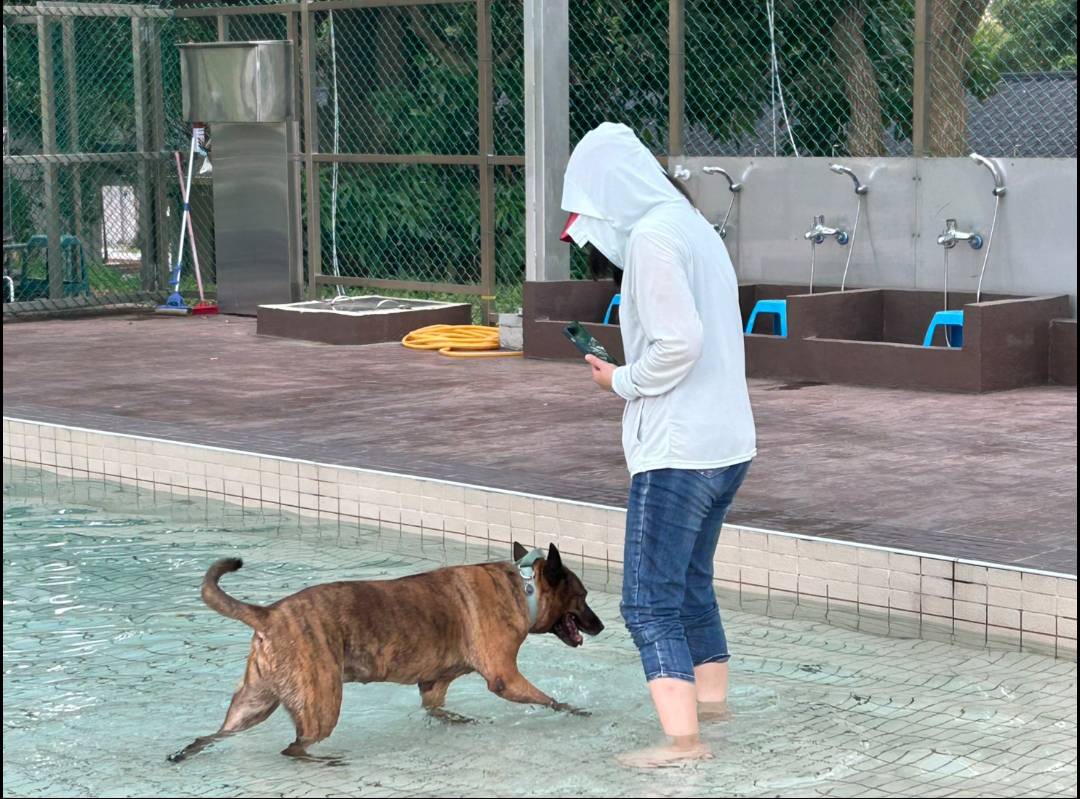 毛孩水樂園開張! 桃園打造全台首座公立寵物戲水池 8/1正式啟用 毛孩水樂園開張! 桃園打造全台首座公立寵物戲水池 8/1正式啟用