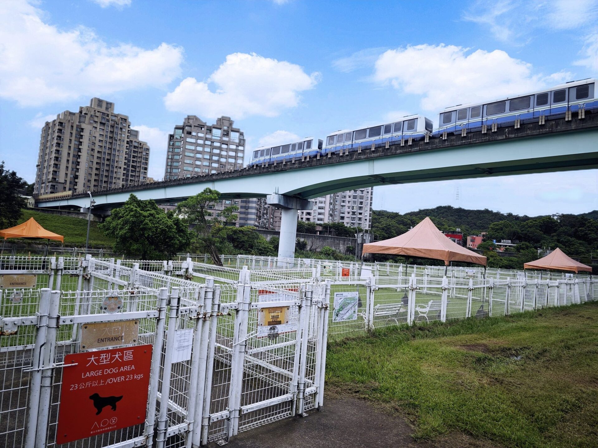 全國首創中型犬活動區　臺北萬興狗公園正式啟用