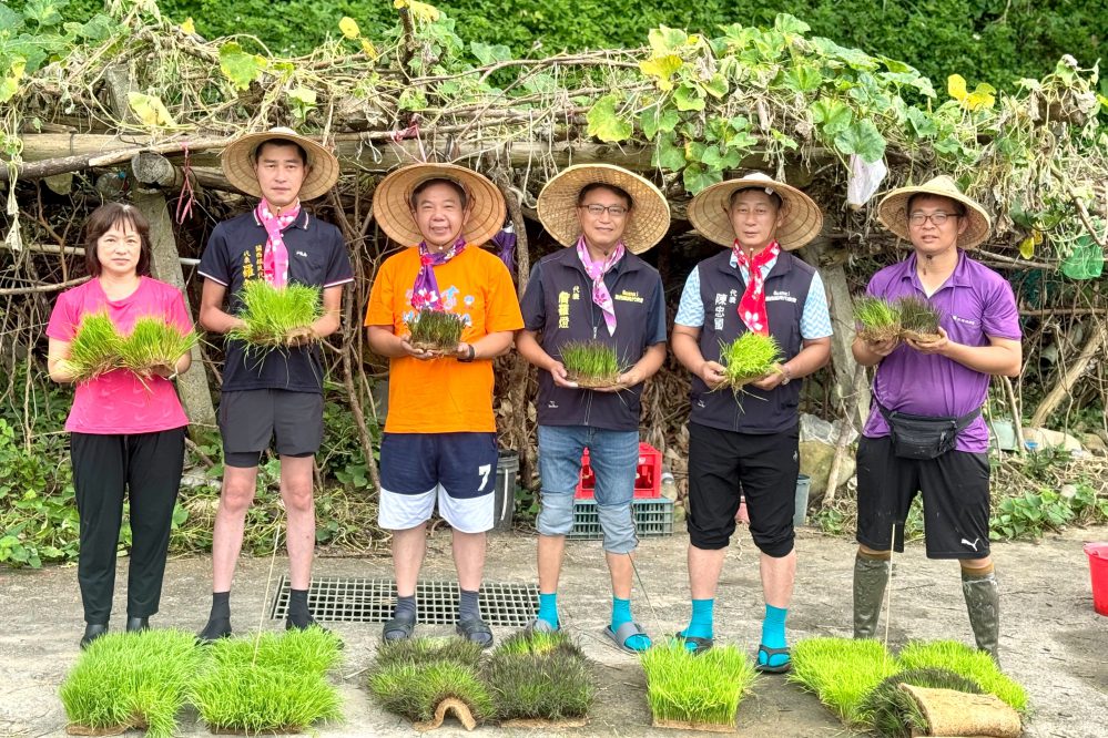 彩稻不是染的！「2025攜手稻關西」插秧啟動　彩繪稻田生活畫布展開