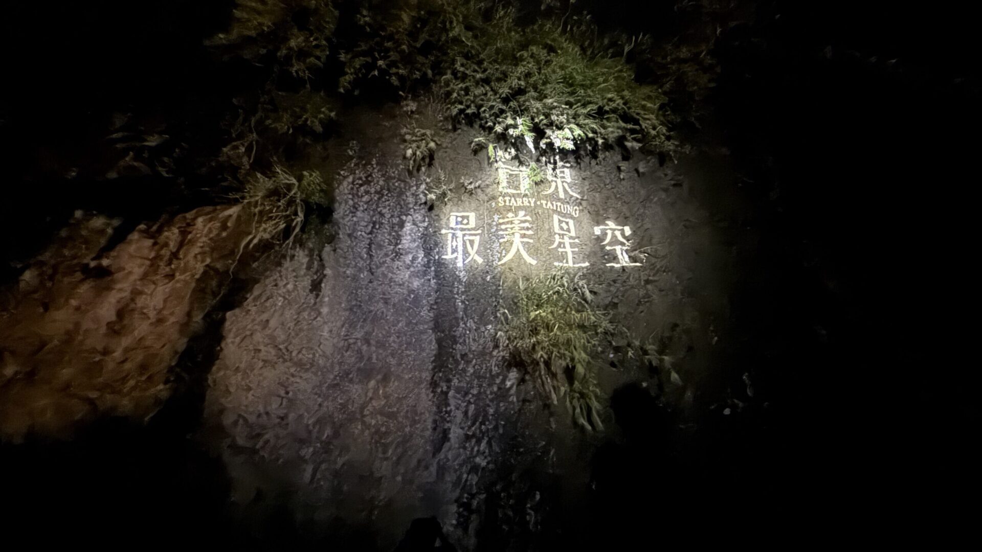 在星光下聆聽長濱 用音樂點亮地方創生療癒新光點