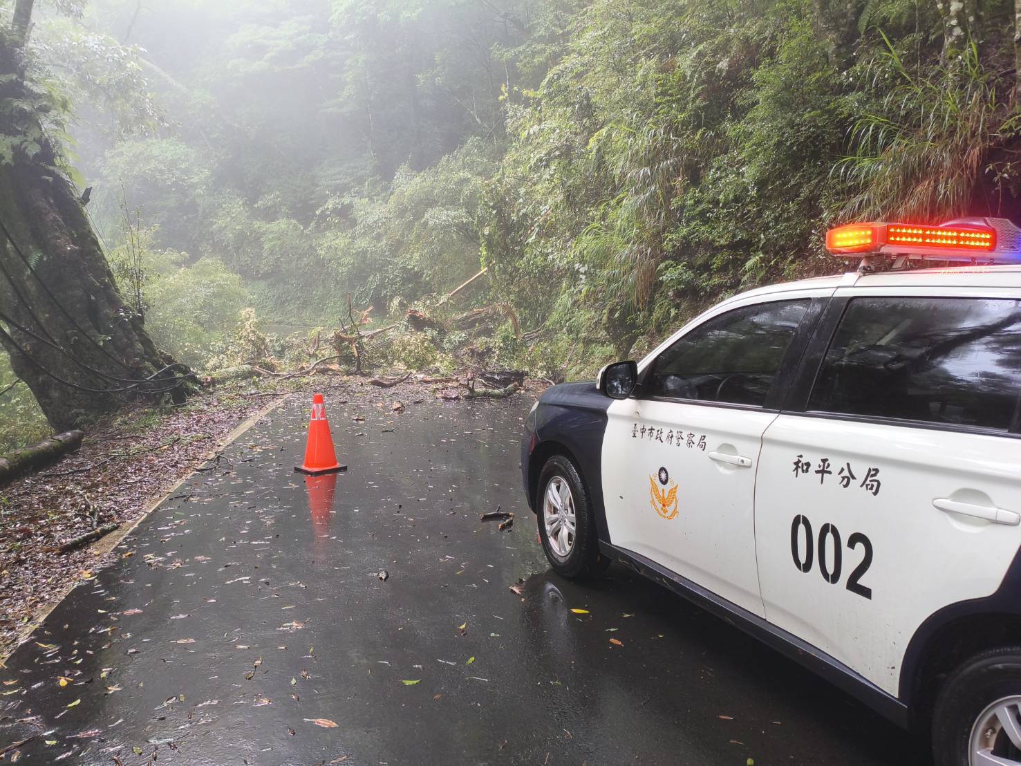 大雪山因連日豪雨路樹倒塌　和平警啟動交管