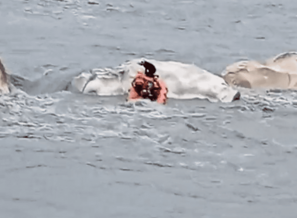 花蓮玩「漂漂河」受困! 消防隊員搭皮艇救出 花蓮玩「漂漂河」受困! 消防隊員搭皮艇救出