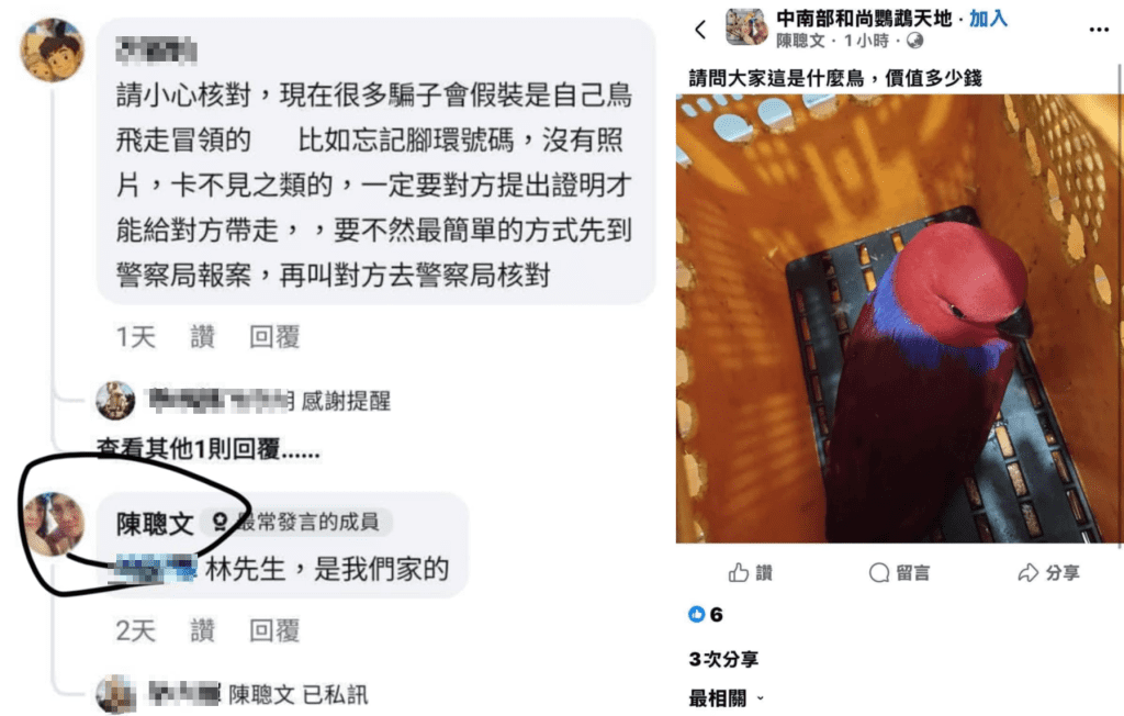 爆料/假冒失主領鳥!慣犯冒領鸚鵡轉賣 鳥友肉搜揭露惡行 爆料/假冒失主領鳥!慣犯冒領鸚鵡轉賣 鳥友肉搜揭露惡行