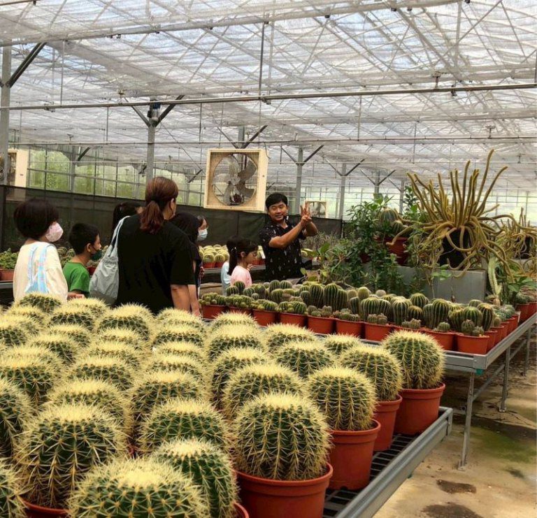 推動在地扎根計畫助脫貧 竹縣攜手社區協力翻轉弱勢家庭未來 推動在地扎根計畫助脫貧 竹縣攜手社區協力翻轉弱勢家庭未來