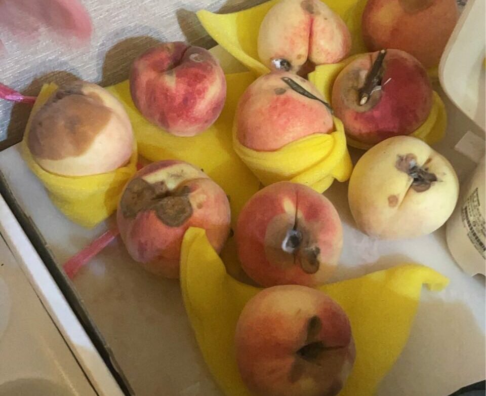 買32顆拉拉山水蜜桃僅1/4能吃！民眾怒：太相信老闆