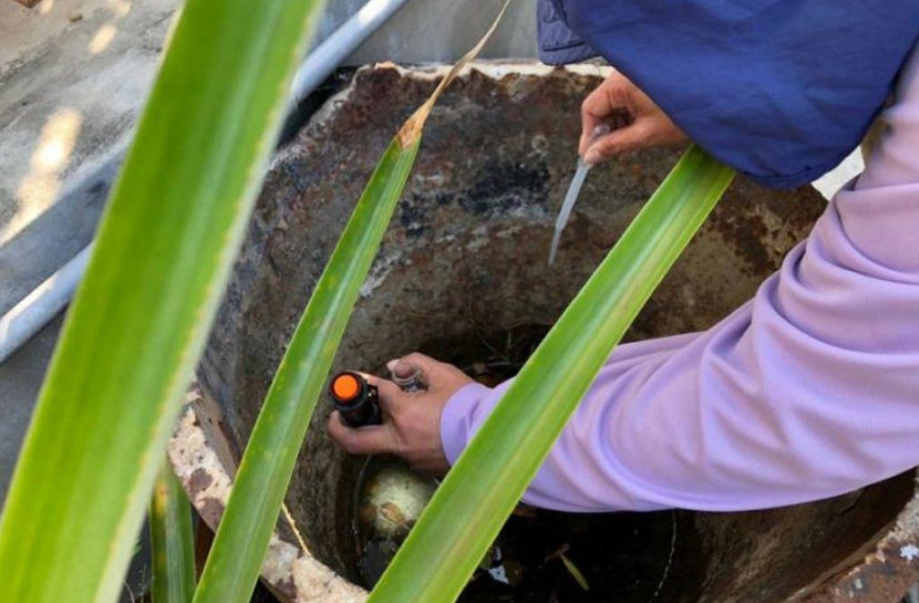 國際疫情屈公病升溫！台灣已出現16例　疾管署明公布是否升級旅遊警示