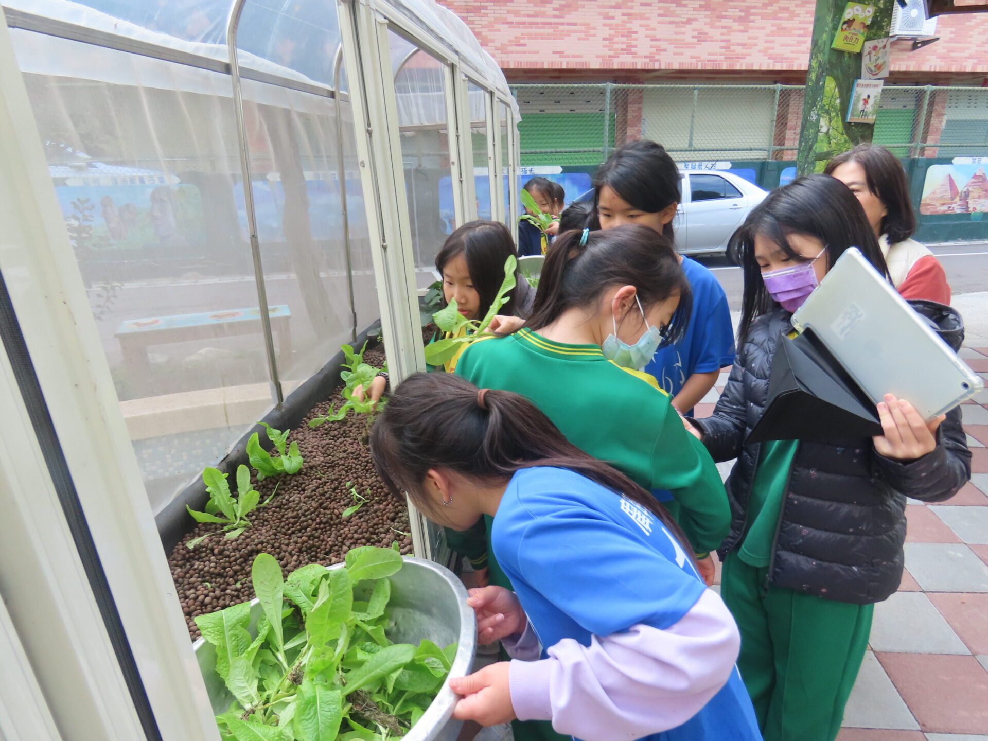 八德廣興國小深耕食農教育 打造田中央到餐桌學習旅程 八德廣興國小深耕食農教育 打造田中央到餐桌學習旅程