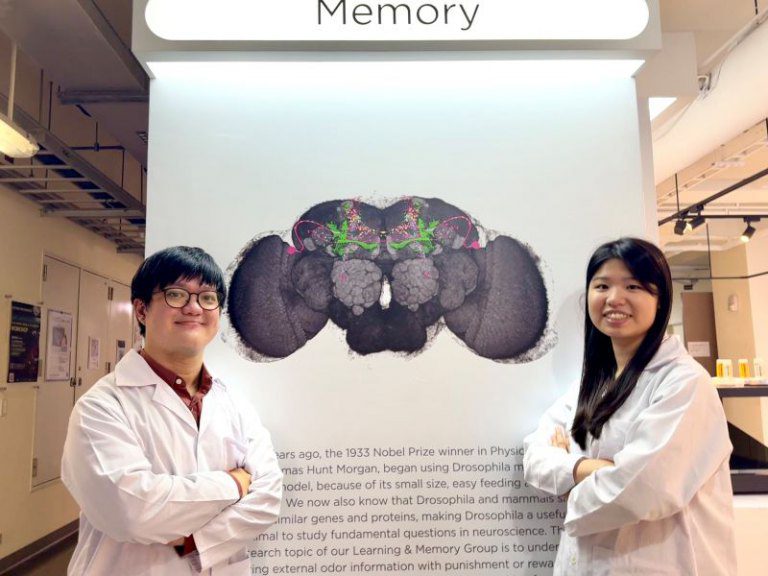 吃還是逃？清華破解果蠅大腦嗅覺密碼