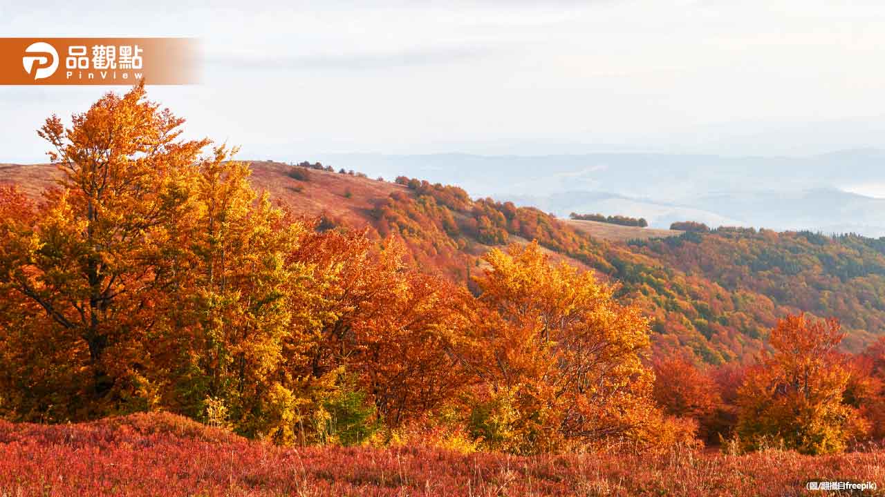 立秋也是天赦日!專家揭秘7大禁忌與開運秘訣 立秋也是天赦日!專家揭秘7大禁忌與開運秘訣