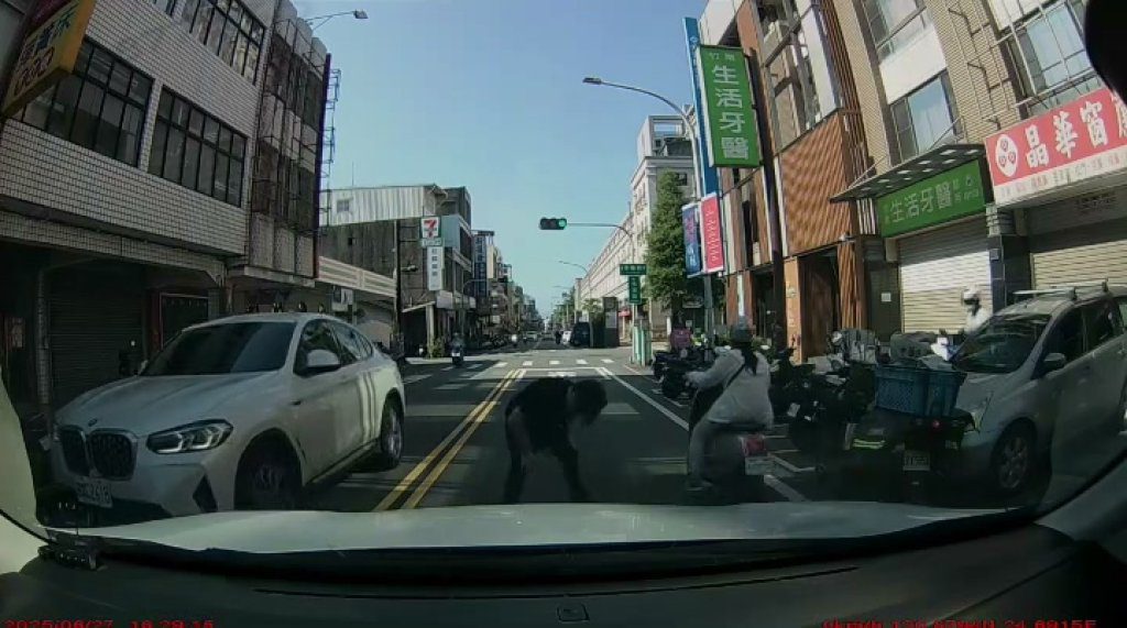 影／想碰瓷？男過馬路遇車突倒下「起身拍引擎蓋」喊別走　全被行車紀錄器拍下