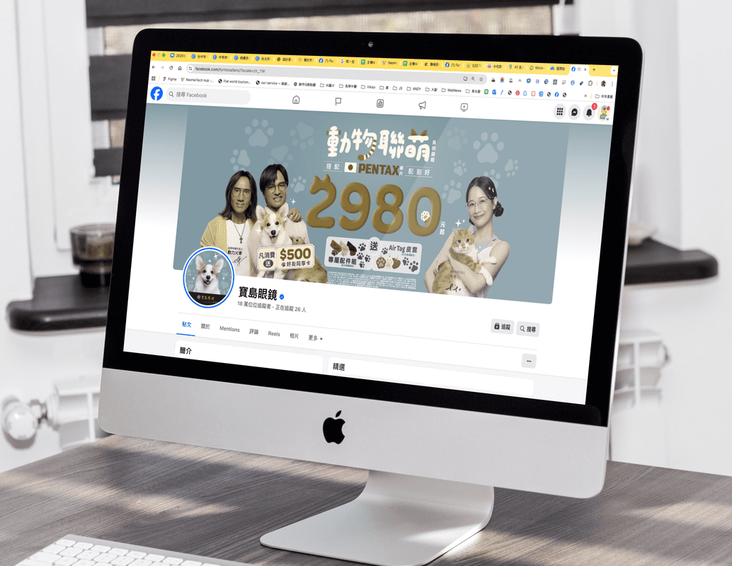 國際貓咪日 寶島眼鏡為挺浪浪 惡搞自家社群 國際貓咪日 寶島眼鏡為挺浪浪 惡搞自家社群