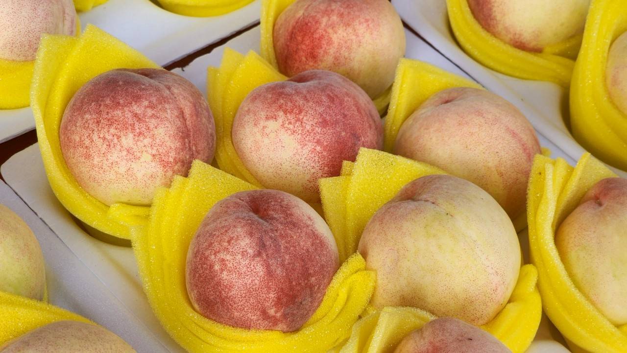 民眾投訴買拉拉山水蜜桃遭換貨 桃園農業局前往稽查 民眾投訴買拉拉山水蜜桃遭換貨 桃園農業局前往稽查