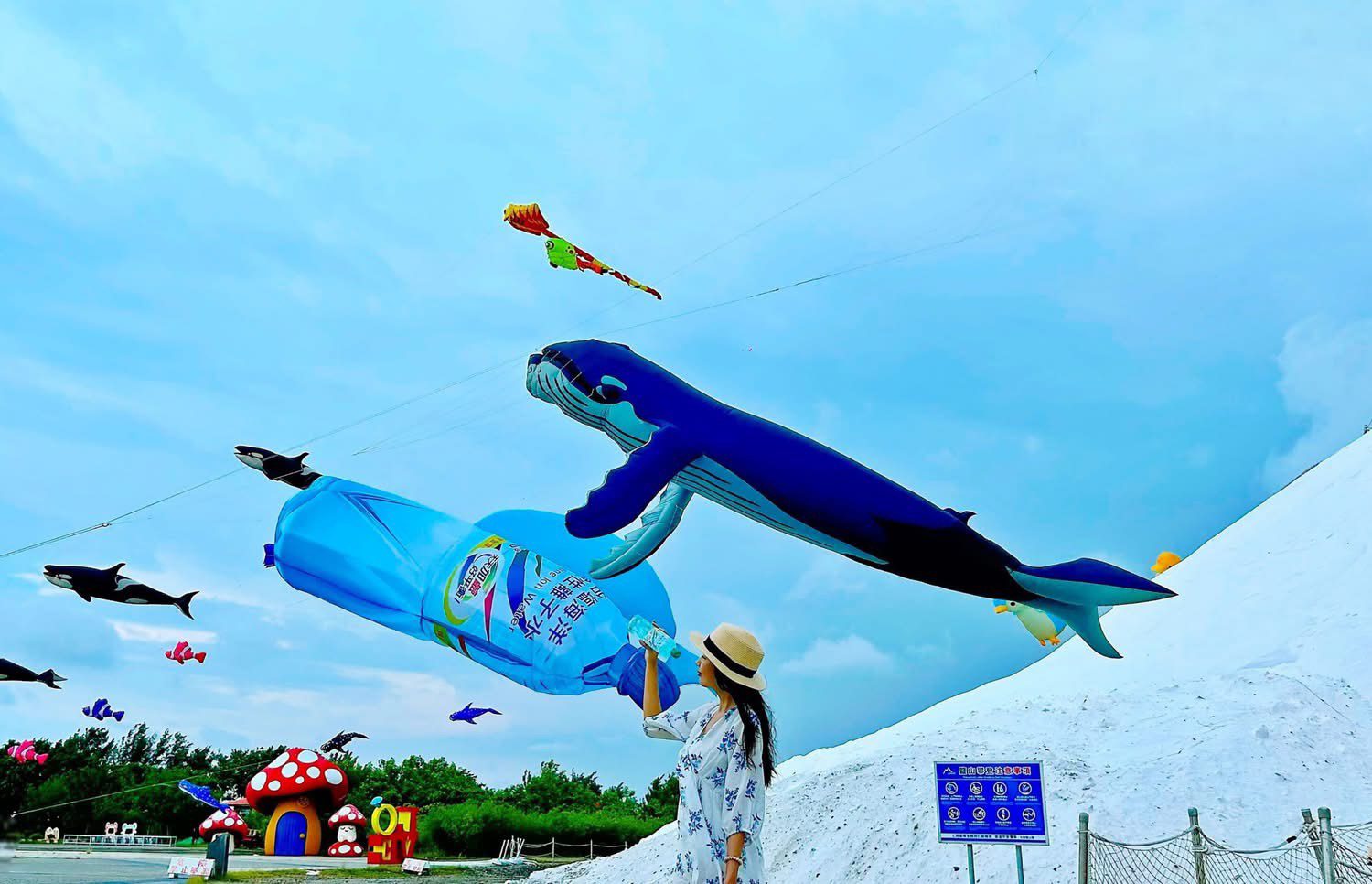 田馥甄《田調》小花8/9鹽田盛開!雲嘉南攜手在地業者用藝術療癒風災傷痕 田馥甄《田調》小花8/9鹽田盛開!雲嘉南攜手在地業者用藝術療癒風災傷痕