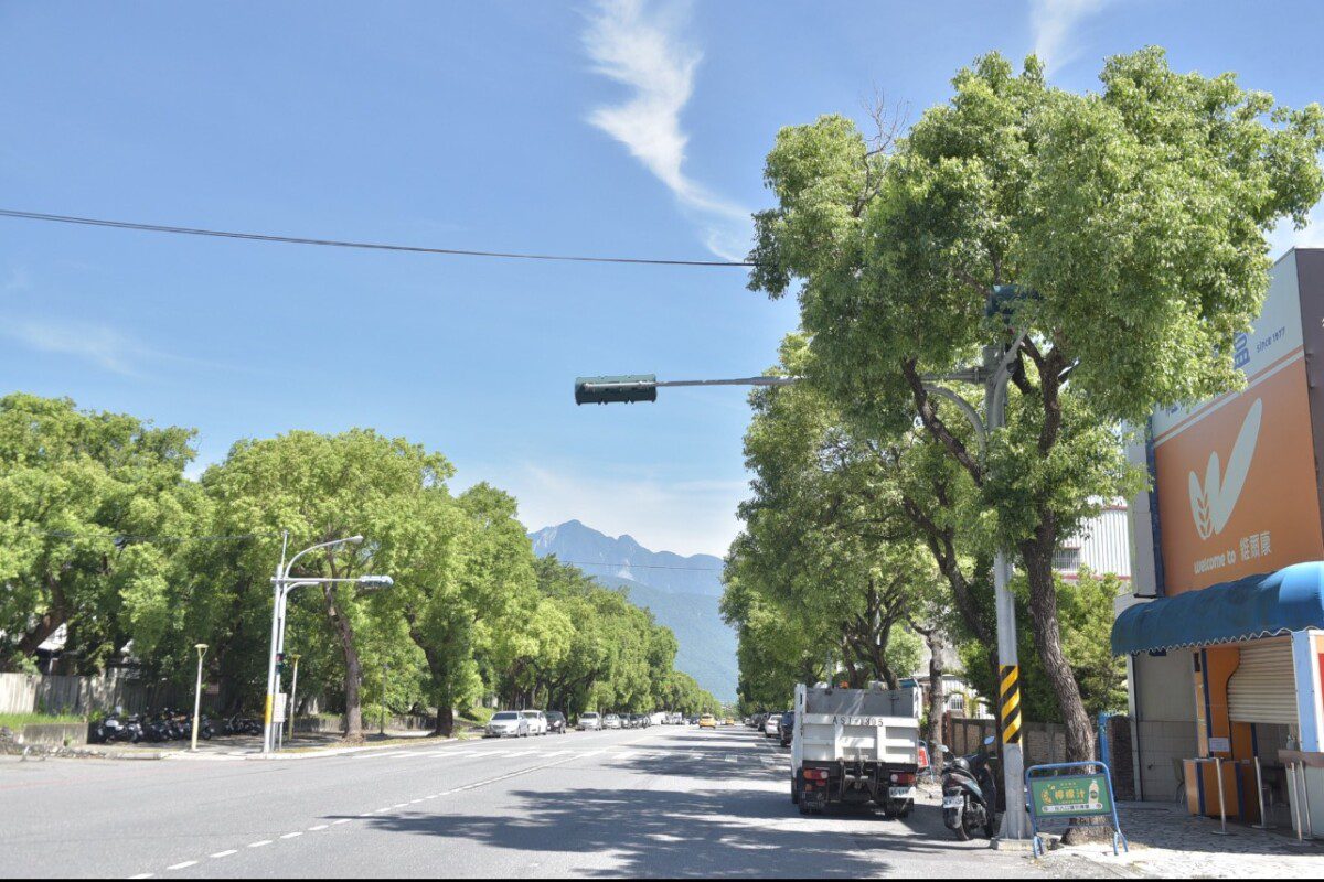 花蓮市公所修剪遮擋號誌路樹 確保市民交通安全無虞 花蓮市公所修剪遮擋號誌路樹 確保市民交通安全無虞