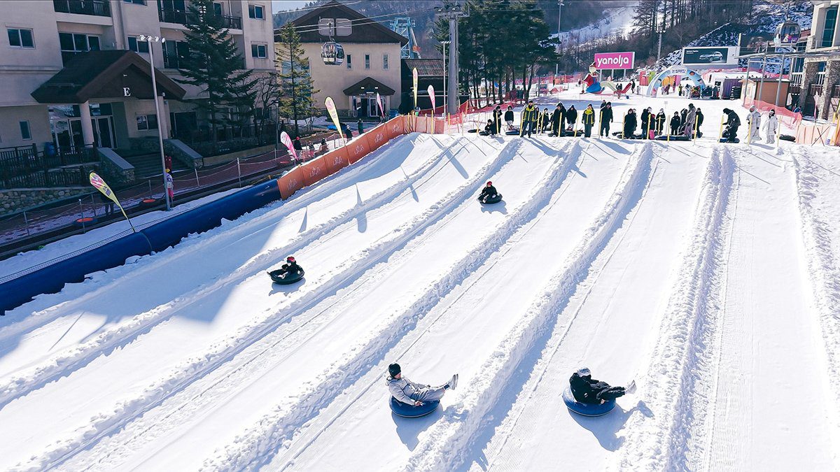 韓國江原道冬季滑雪祭　High1、龍平雙渡假村熱雪開跑