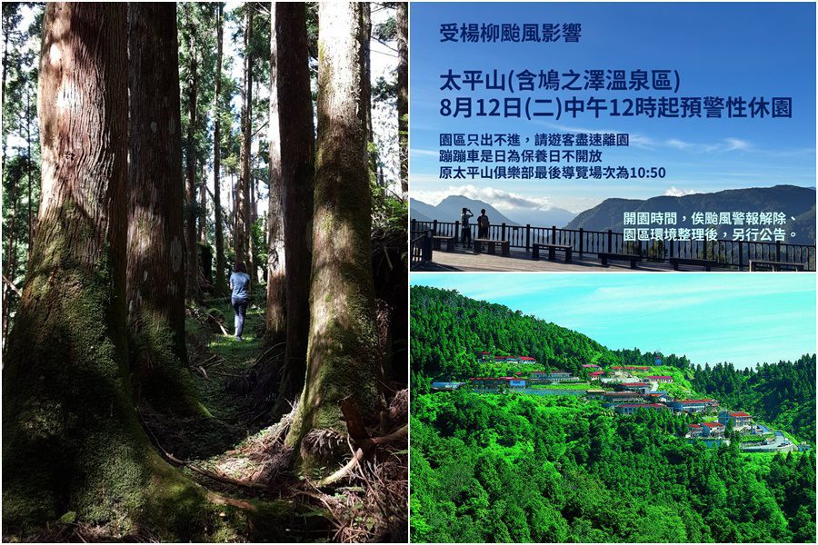 因應楊柳颱風來襲 太平山及自然步道8/12中午起休園及封閉 因應楊柳颱風來襲 太平山及自然步道8/12中午起休園及封閉