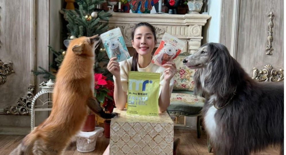 利用身障協會吞1.1億捐款!狂買名車豪宅、社會還有多少類似情况? 利用身障協會吞1.1億捐款!狂買名車豪宅、社會還有多少類似情况?