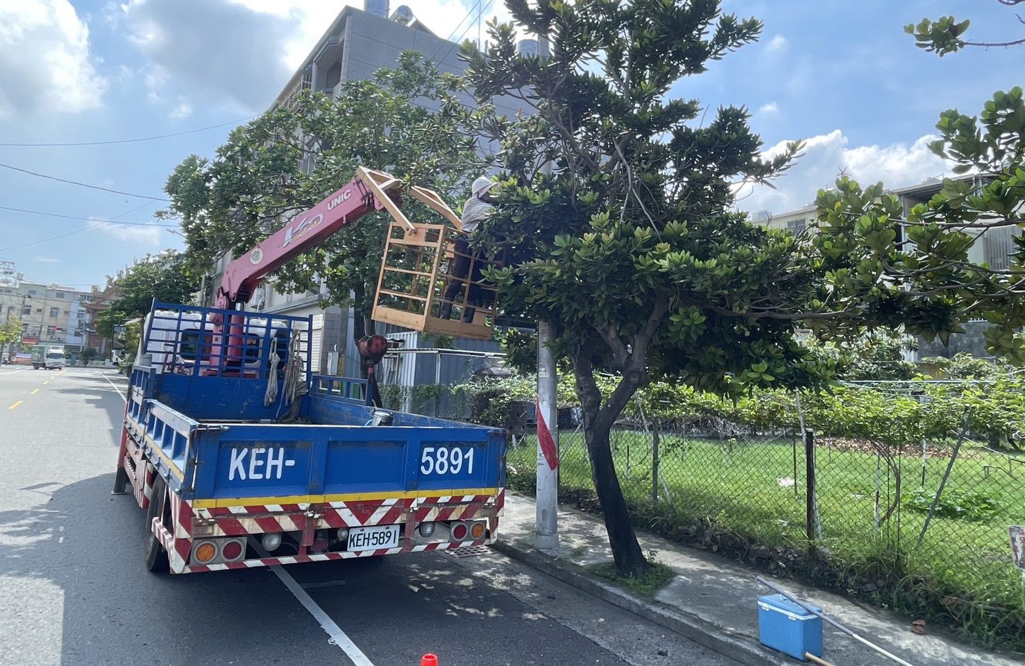 因應颱風來襲!高市公園處強化護樹防颱準備 因應颱風來襲!高市公園處強化護樹防颱準備