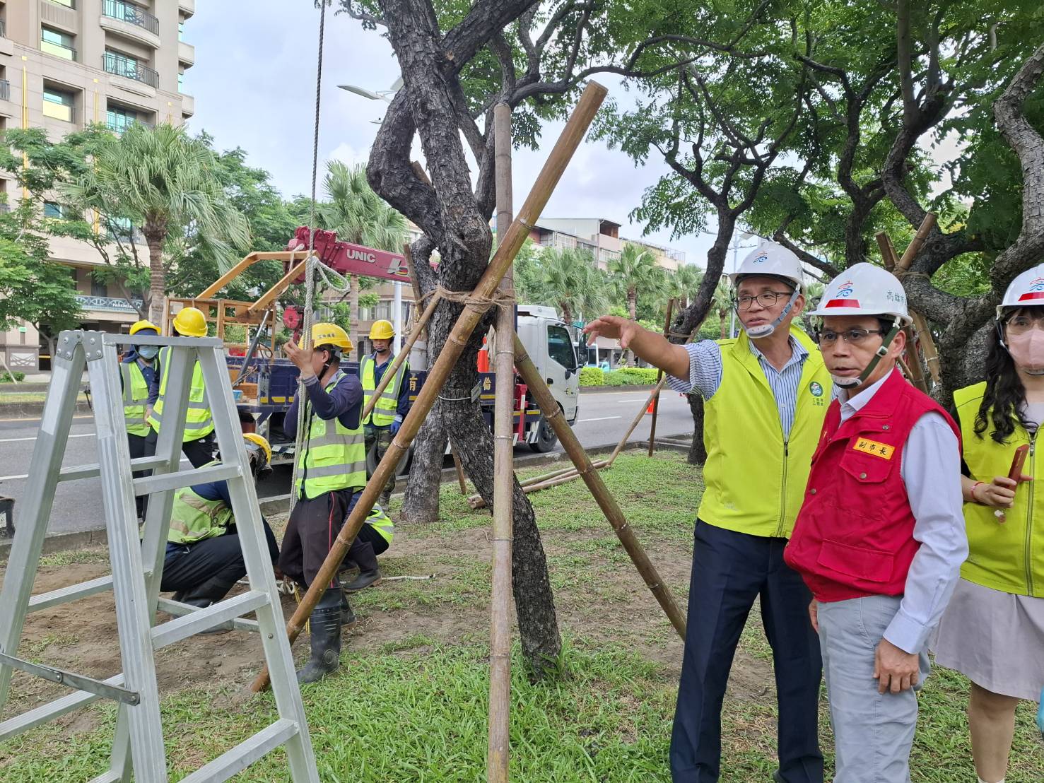 楊柳颱風來襲 高市林欽榮副市長加強督導路樹安全 楊柳颱風來襲 高市林欽榮副市長加強督導路樹安全