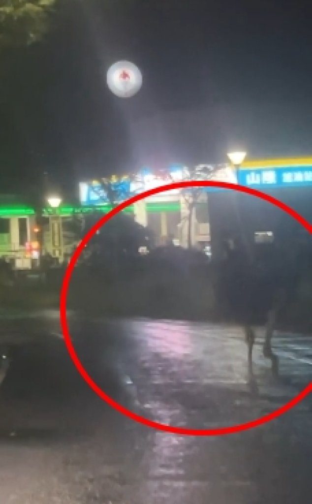 宜蘭「鴕鳥罔市」颱風夜狂奔5公里　路過羅東聖母醫院被笑「要掛急診」