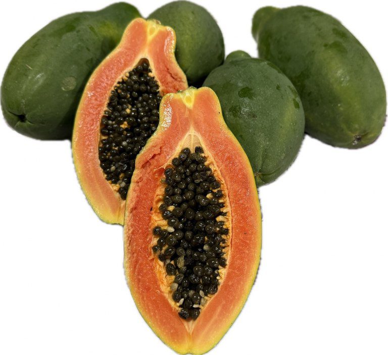 女裝師轉型木瓜農　產履加值安全安心好味道