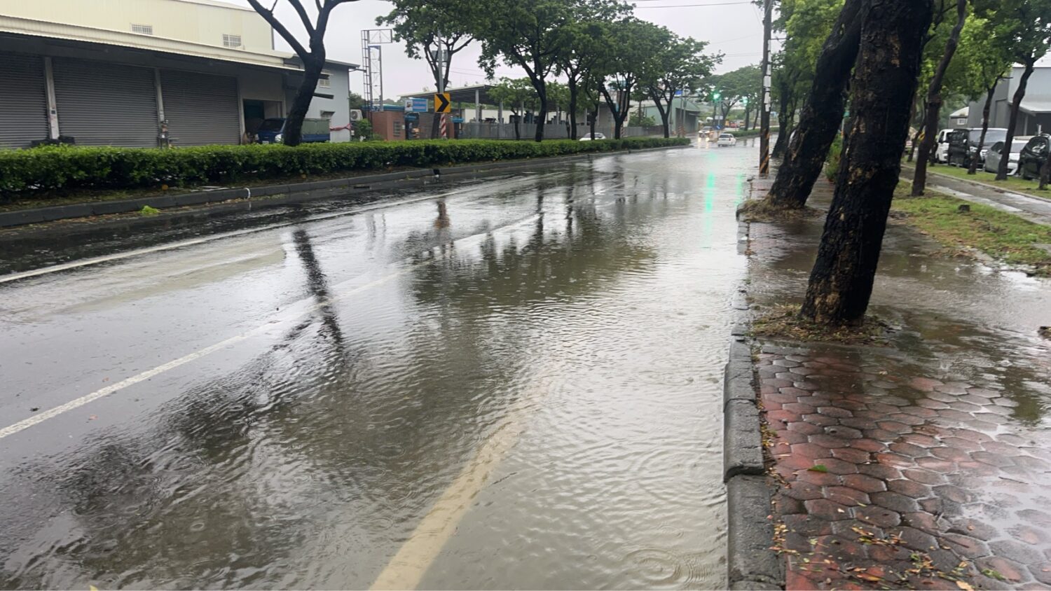高雄神農路積水快速消退   水利局:樹葉阻塞排水所致