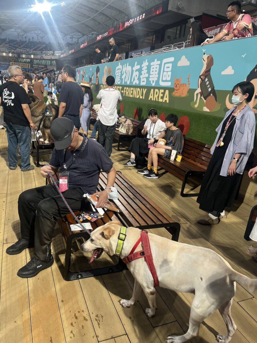全台首創「棒球場寵物樂園」在桃園 3大亮點區域搶先開箱 全台首創「棒球場寵物樂園」在桃園 3大亮點區域搶先開箱