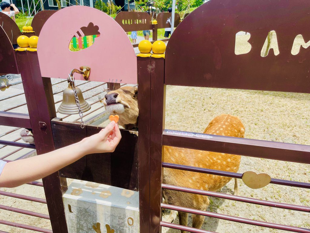 斑比山丘全台唯一「情鹿占卜所」！水豚霜淇淋浪漫回歸