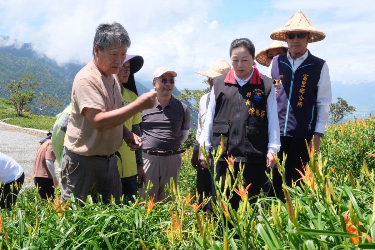農業部公告本縣富里鄉金針菜為114年楊柳颱風農業天然災害現金救助地區受理期8/16至8/29止