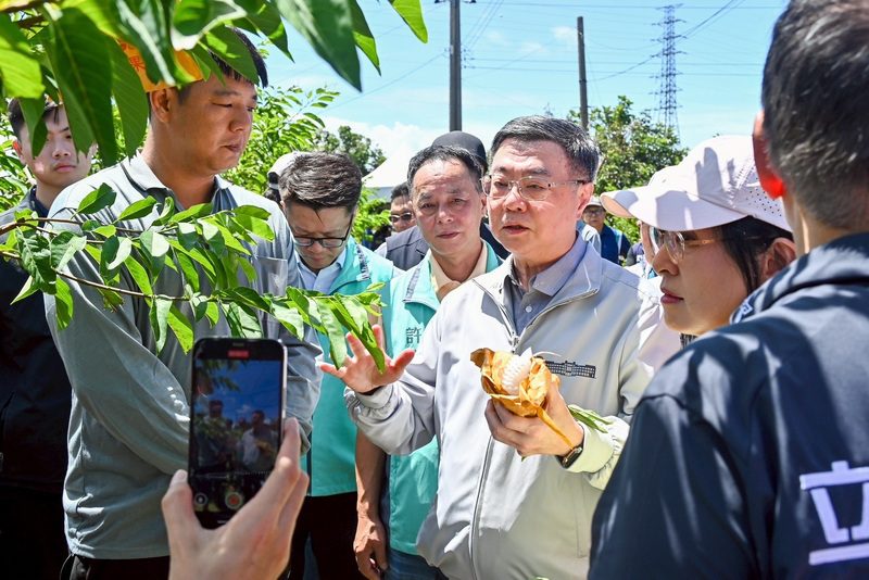 楊柳颱風農損逾4億元 卓榮泰赴台東勘災:救助從寬、經費上限600億 楊柳颱風農損逾4億元 卓榮泰赴台東勘災:救助從寬、經費上限600億