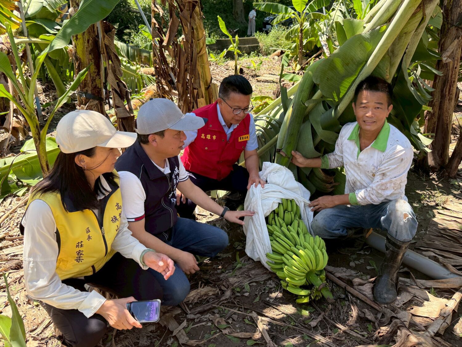 高雄市丹娜絲颱風及0728豪雨 農產業救助申請依停止上班課日數彈性延長截止日