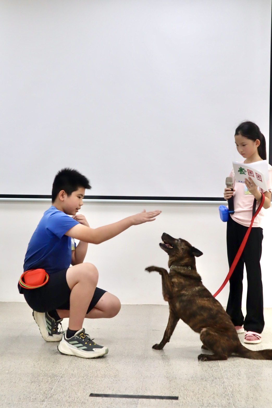 台中舉辦療癒犬夏令營送養會　助毛小孩找到新家