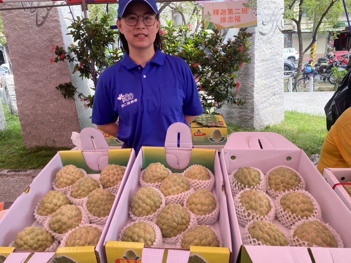 釋fun閃耀 迦倍精彩　歸仁釋迦節今日熱鬧登場